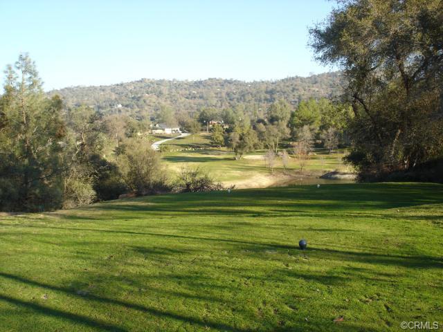 29010 Long Hollow Ct N N, Coarsegold, CA 93614