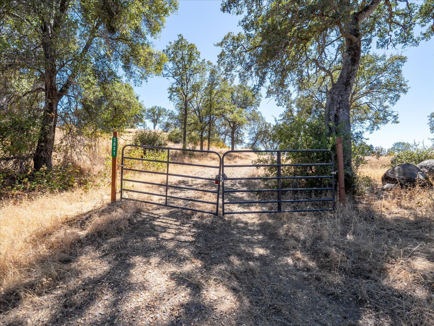 3831 Broncho Hollow Ln, Mariposa, CA 95338