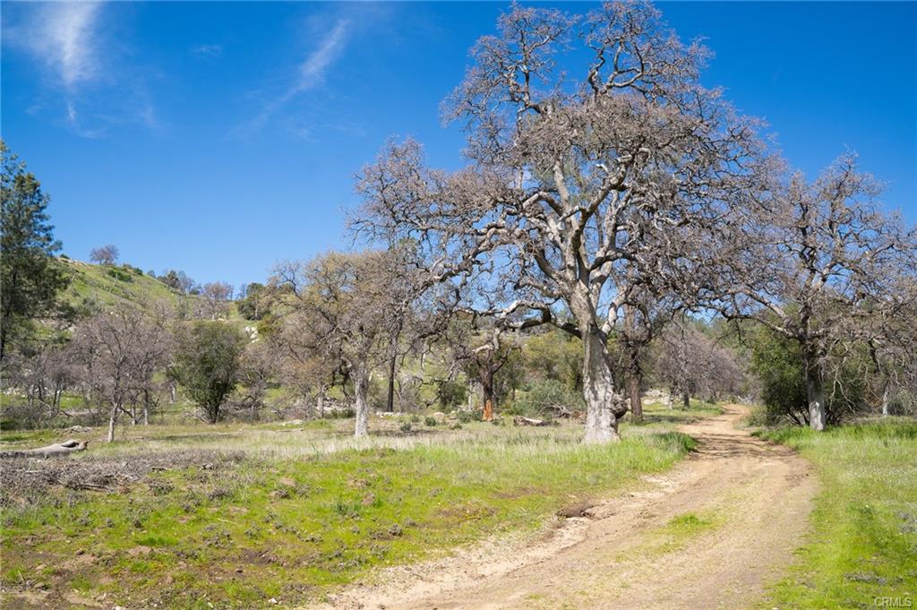 3831 Broncho Hollow Ln, Mariposa, CA 95338