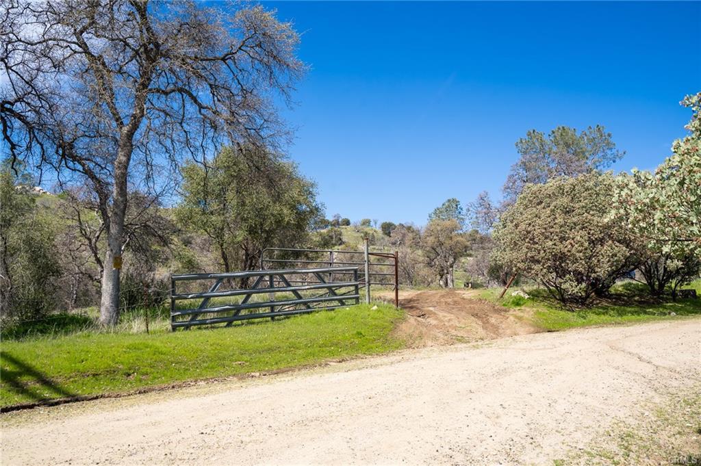3831 Broncho Hollow Ln, Mariposa, CA 95338