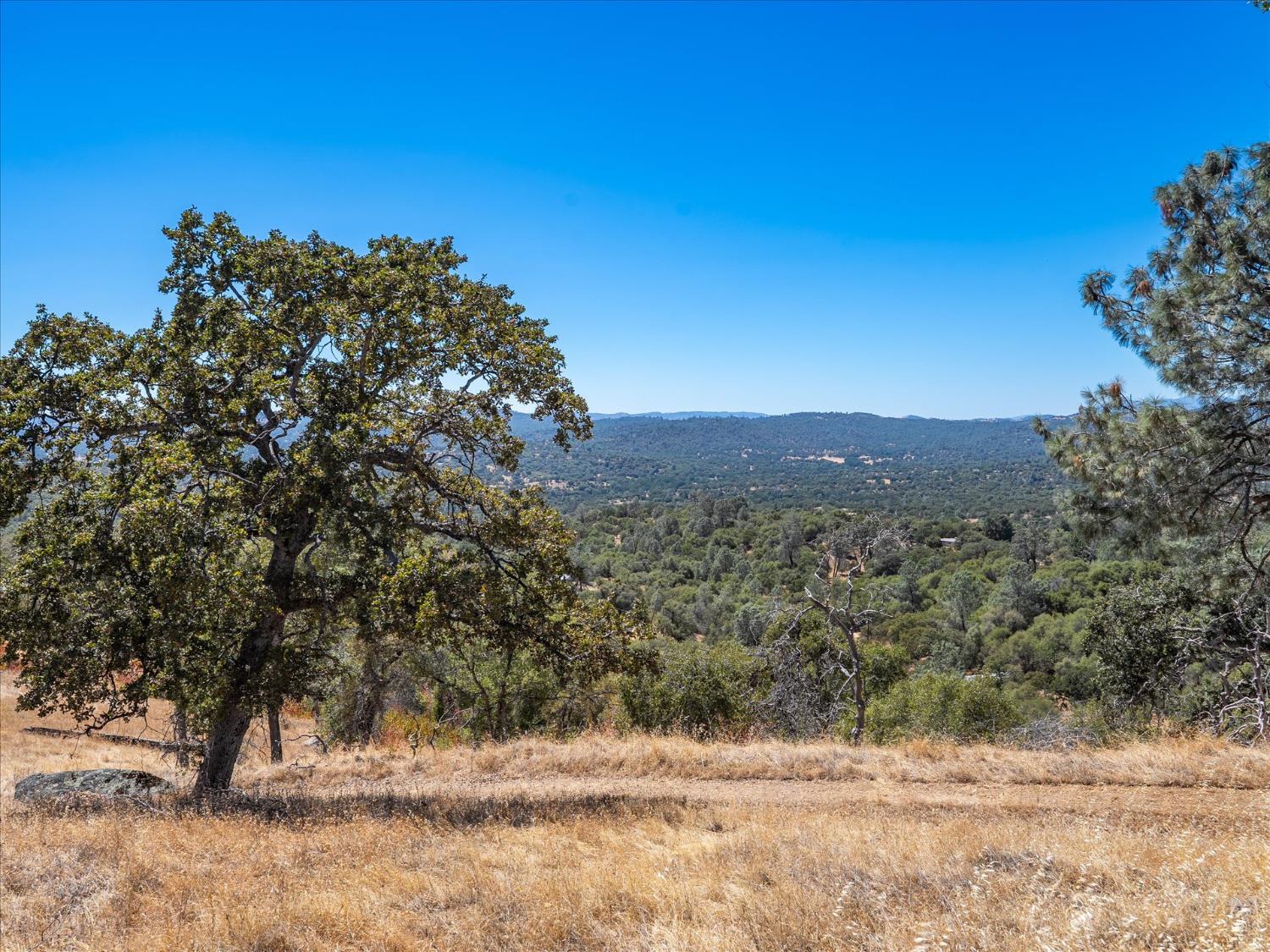 3831 Broncho Hollow Ln, Mariposa, CA 95338