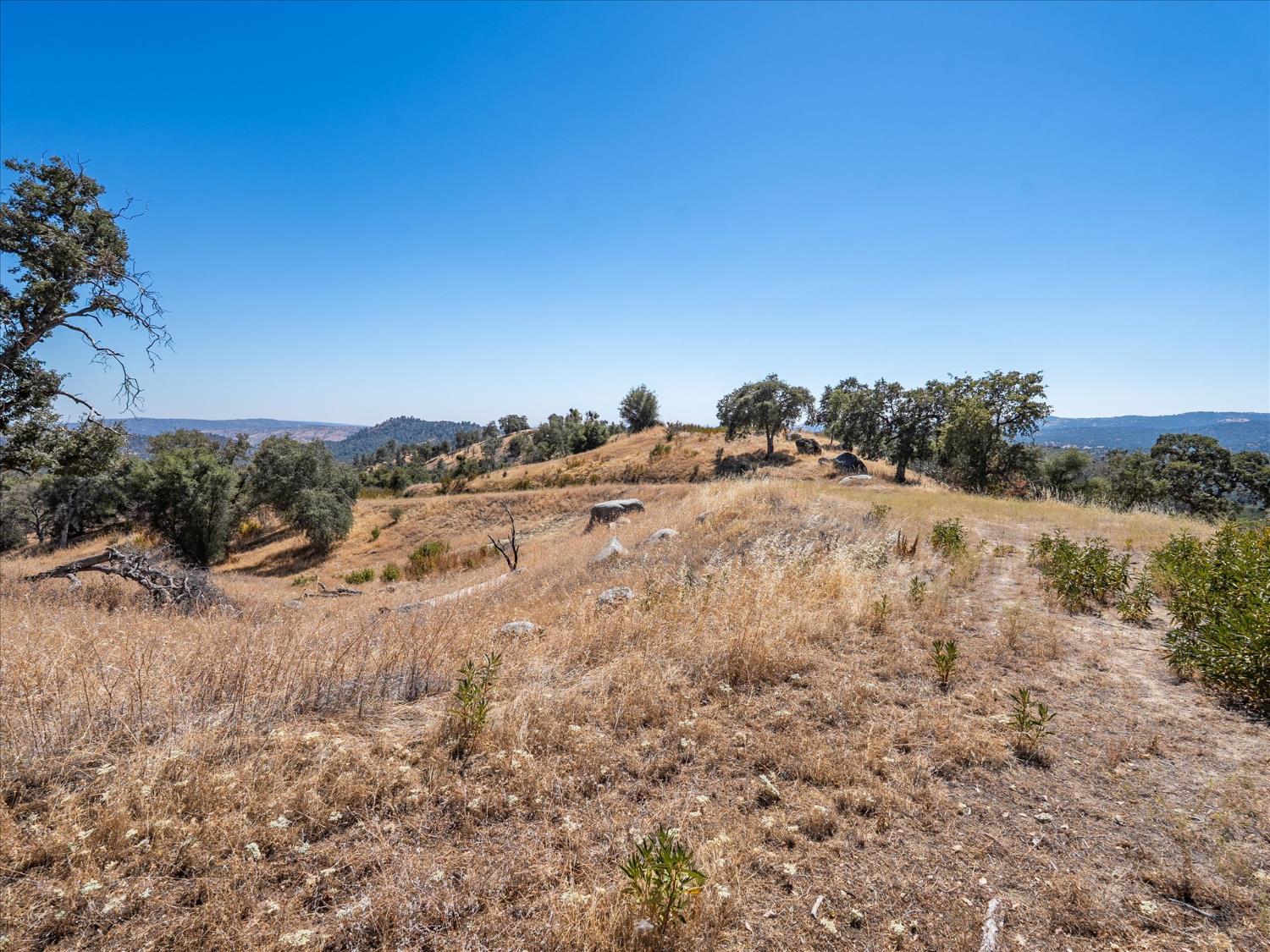 3831 Broncho Hollow Ln, Mariposa, CA 95338