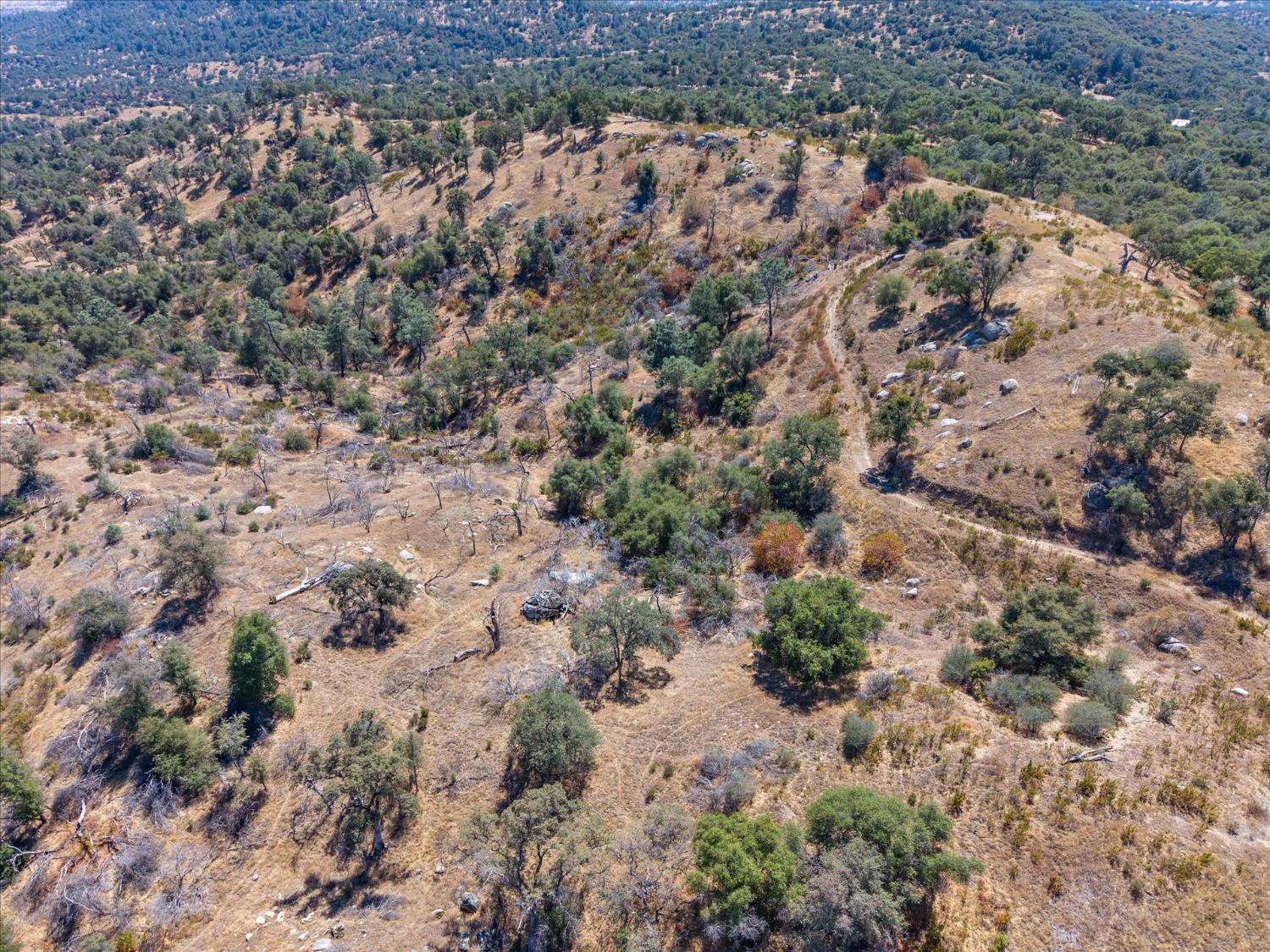 3831 Broncho Hollow Ln, Mariposa, CA 95338
