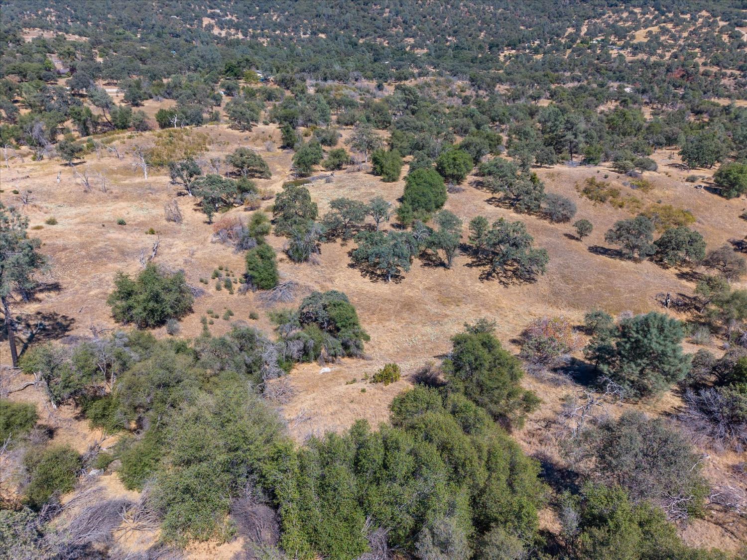 3831 Broncho Hollow Ln, Mariposa, CA 95338