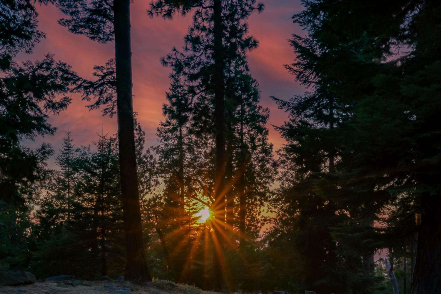 39155 Pitchwood Ln, Shaver Lake, CA 93664