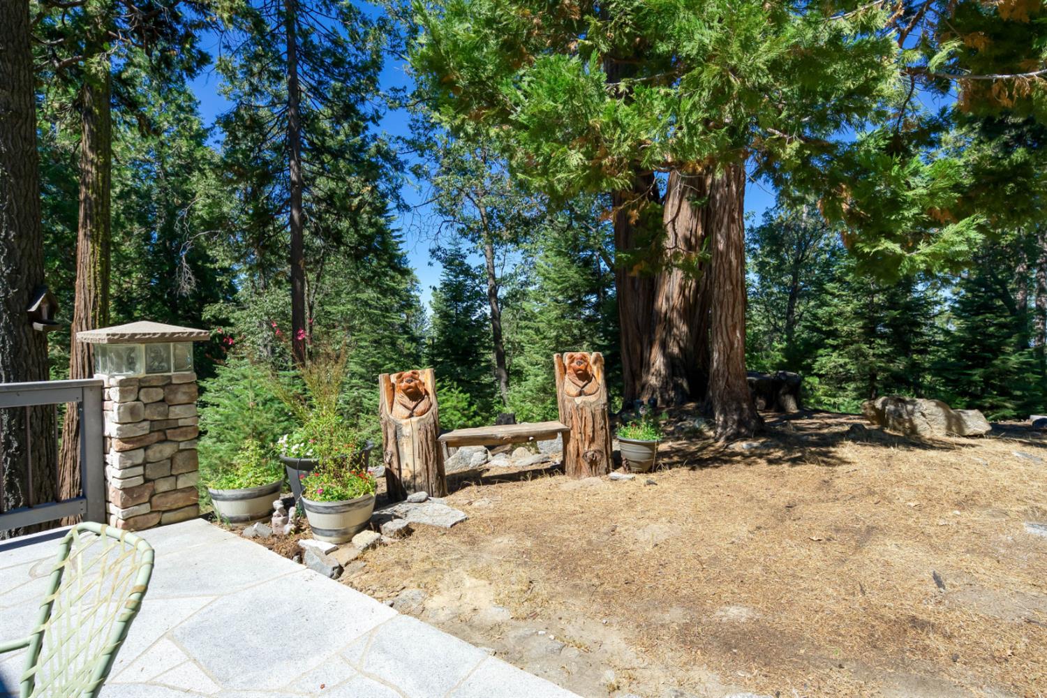 39155 Pitchwood Ln, Shaver Lake, CA 93664