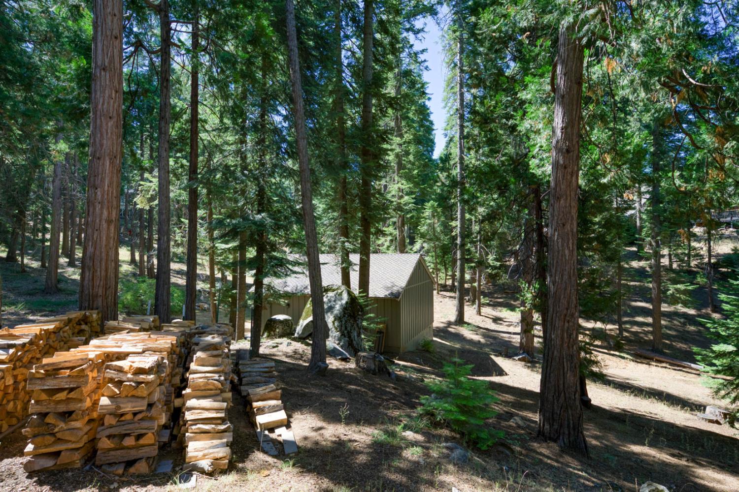 39155 Pitchwood Ln, Shaver Lake, CA 93664