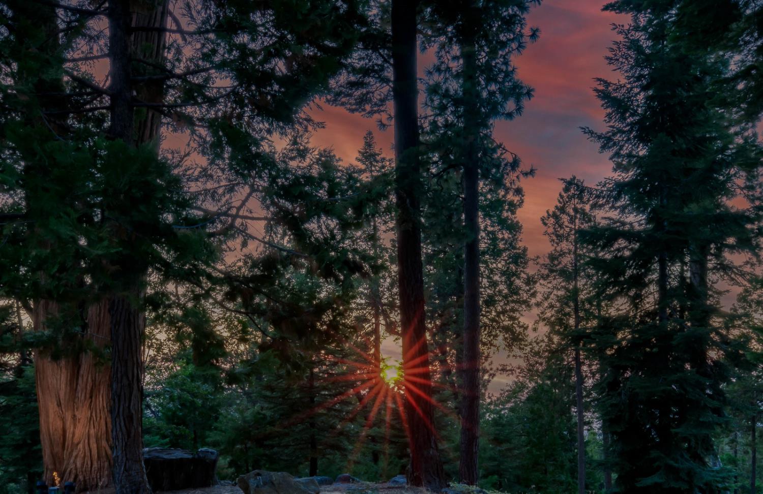 39155 Pitchwood Ln, Shaver Lake, CA 93664