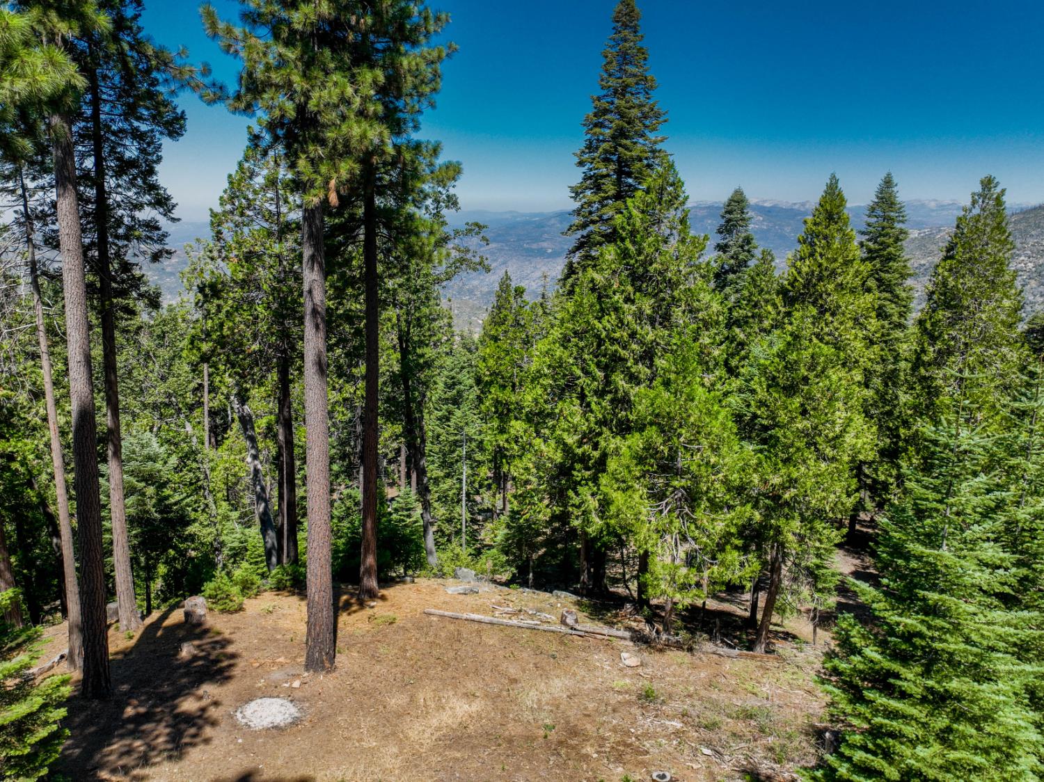 39155 Pitchwood Ln, Shaver Lake, CA 93664