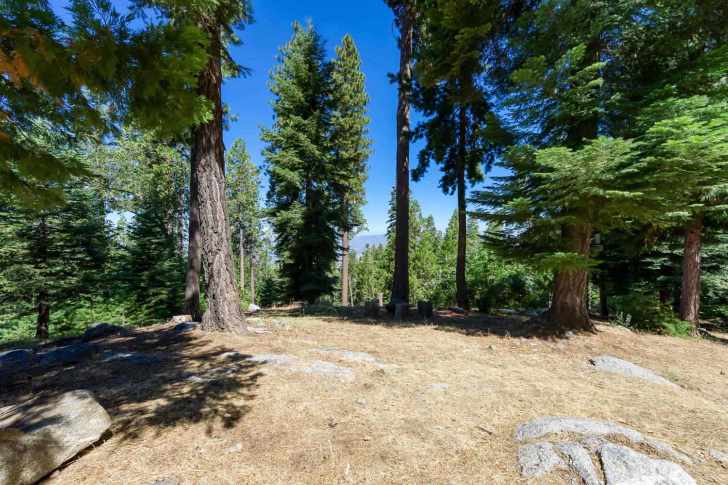 39155 Pitchwood Ln, Shaver Lake, CA 93664