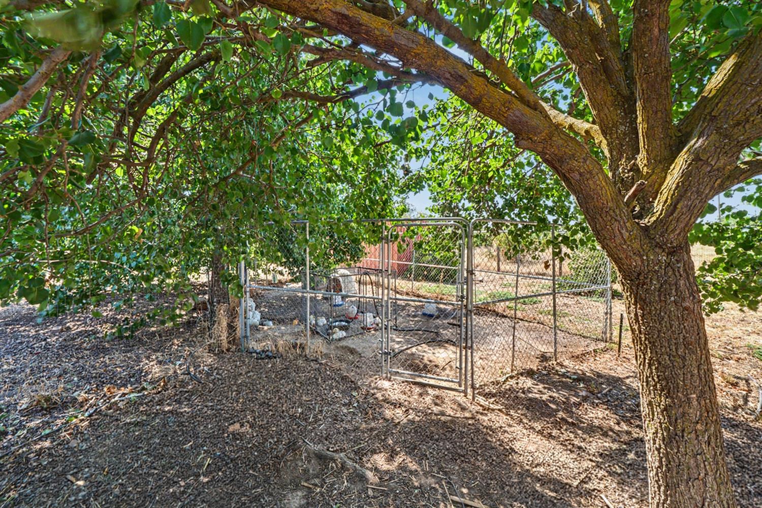 17112 Monreal Rd, Madera, CA 93636