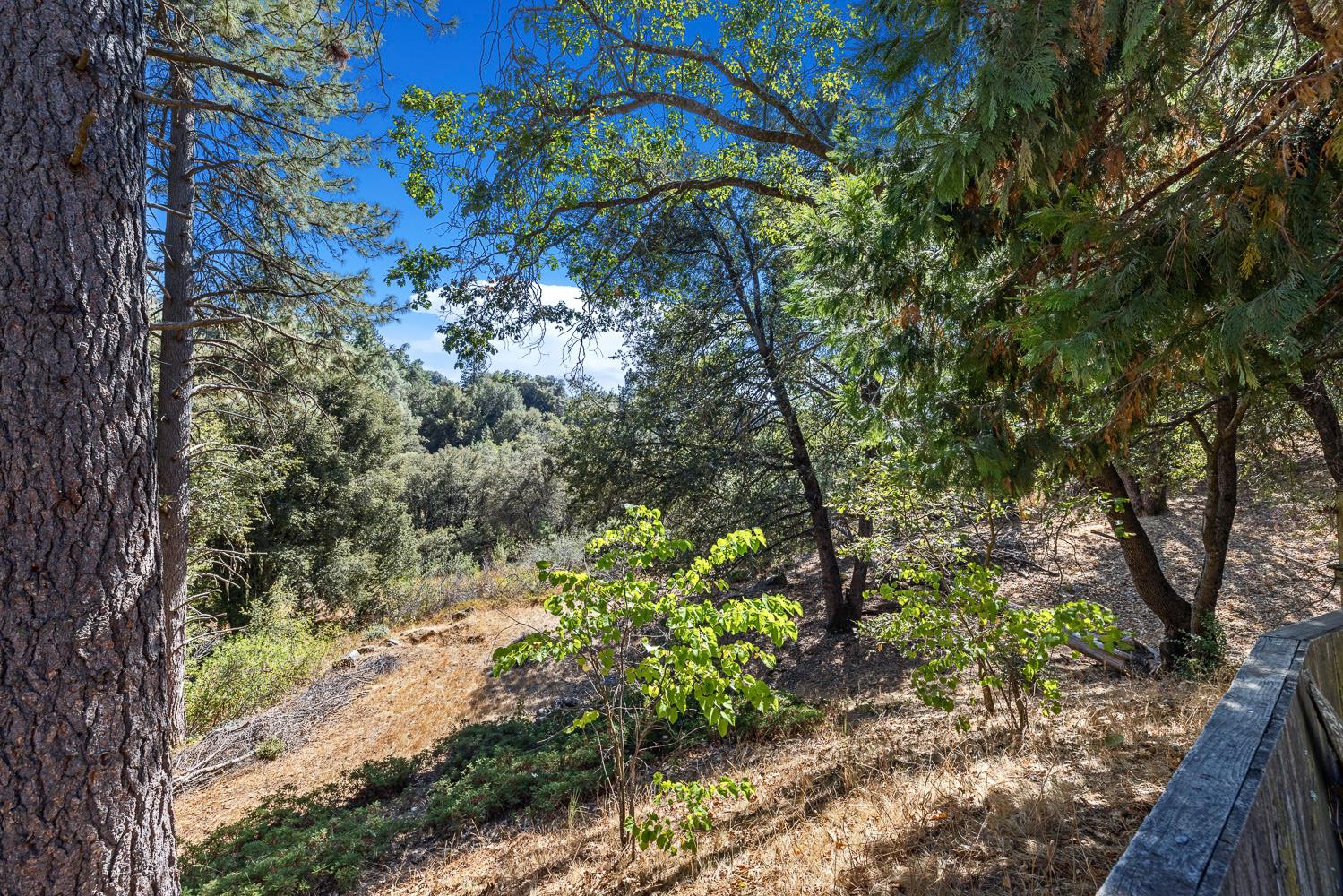 33086 Linson Rd, Tollhouse, CA 93667