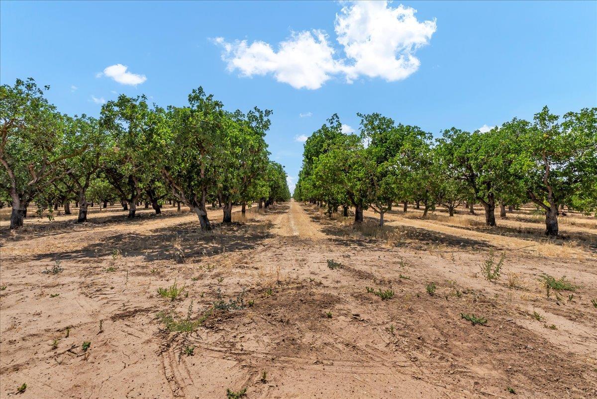 20468 Road 30, Madera, CA 93638