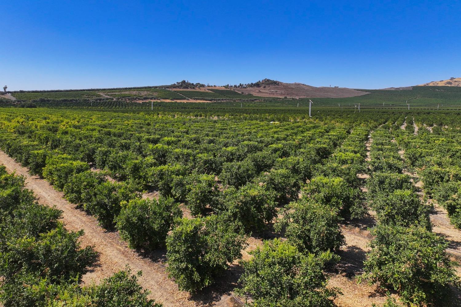 0 0 Avenue 424, Dinuba, CA 93618