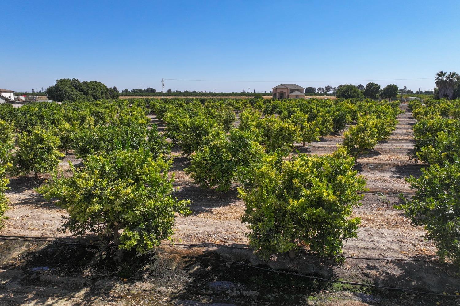 0 0 Avenue 424, Dinuba, CA 93618