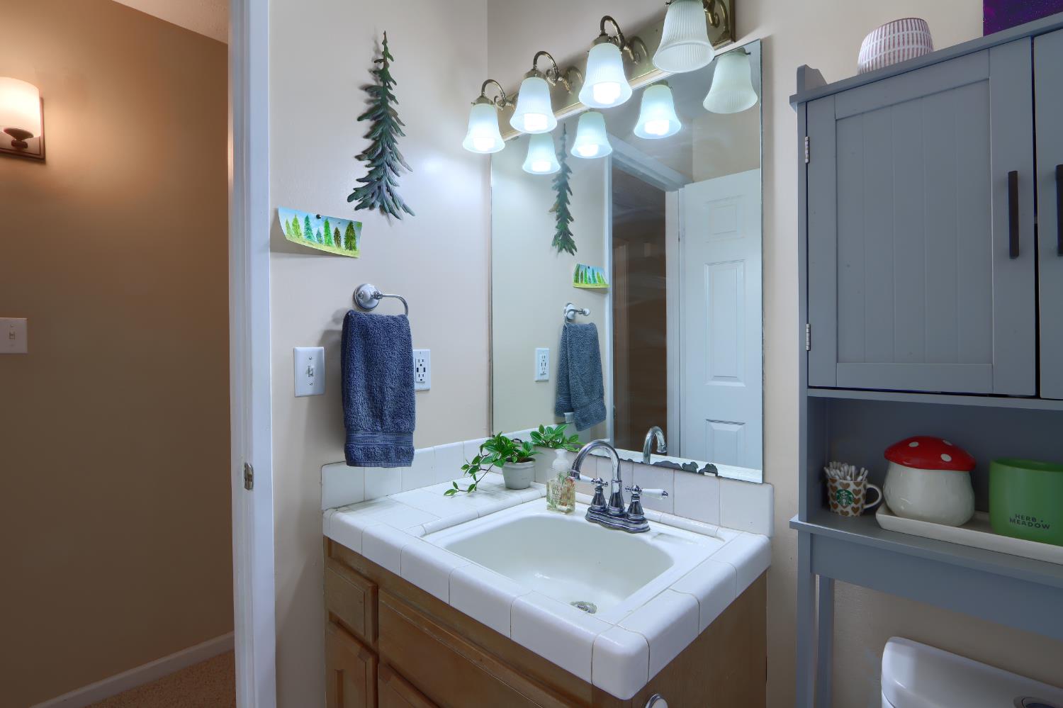 4965 Moss Creek Ln, Mariposa, CA 95338