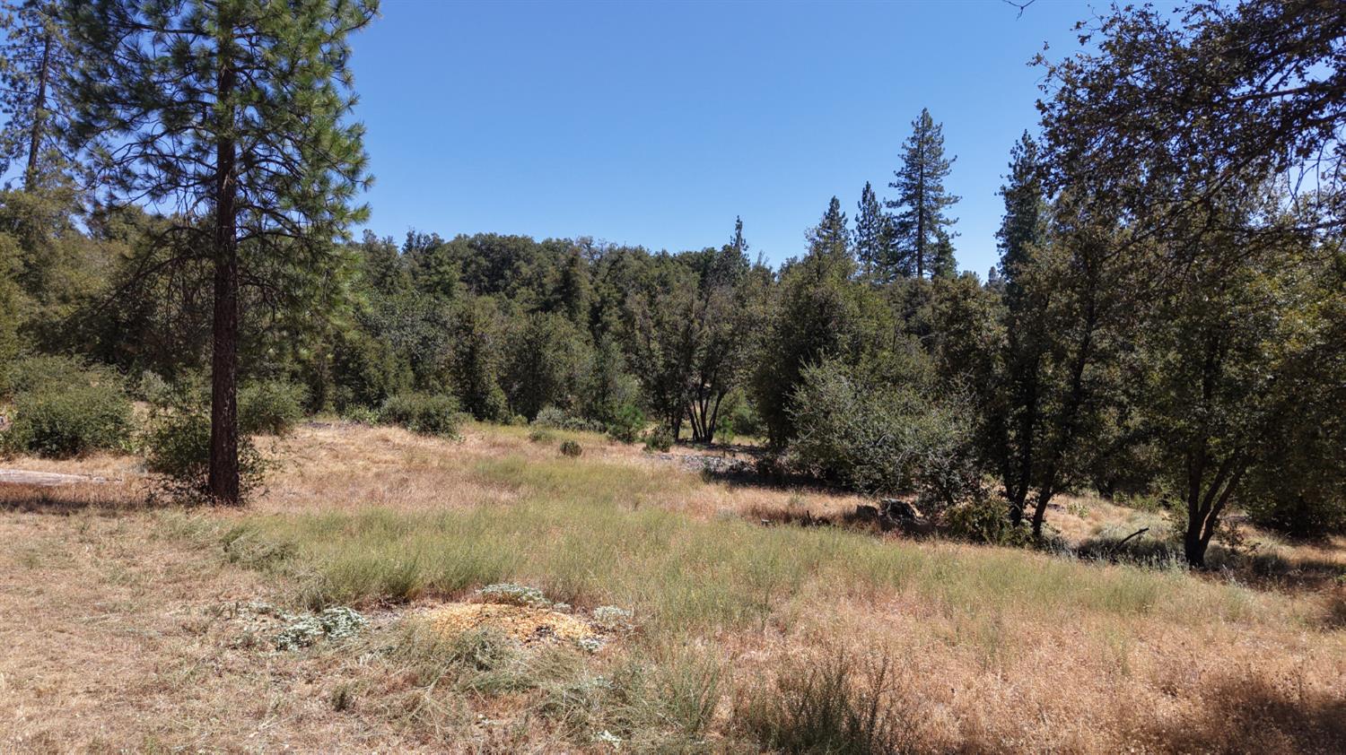 4965 Moss Creek Ln, Mariposa, CA 95338
