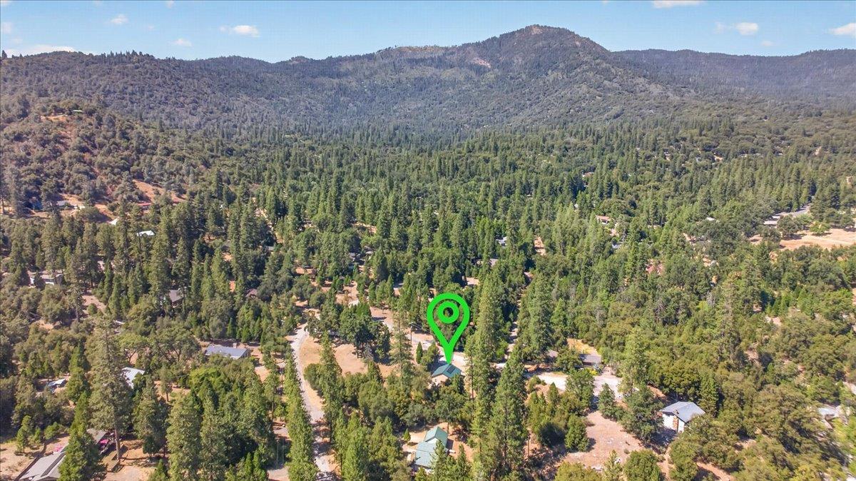 5594 Red Ibis Ct, Mariposa, CA 95338
