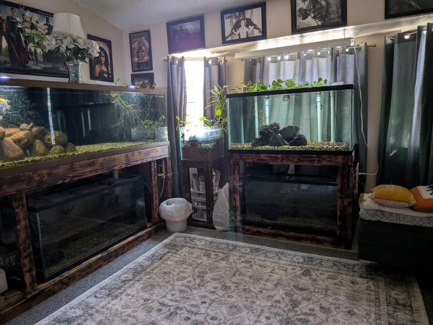 263 N Adrian Ave, Fresno, CA 93727