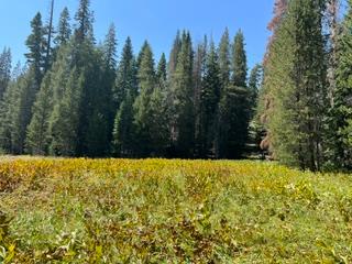 0 0 Hlk135-Cabin @ Heart Meadow, Sequoia National Prk, CA 93262