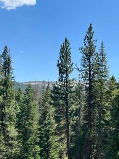 0 0 Hlk135-Cabin @ Heart Meadow, Sequoia National Prk, CA 93262