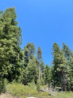 0 0 Hlk135-Cabin @ Heart Meadow, Sequoia National Prk, CA 93262