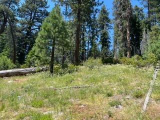0 0 Hlk135-Cabin @ Heart Meadow, Sequoia National Prk, CA 93262
