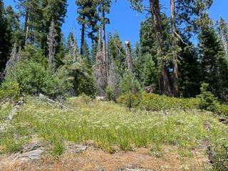 0 0 Hlk135-Cabin @ Heart Meadow, Sequoia National Prk, CA 93262