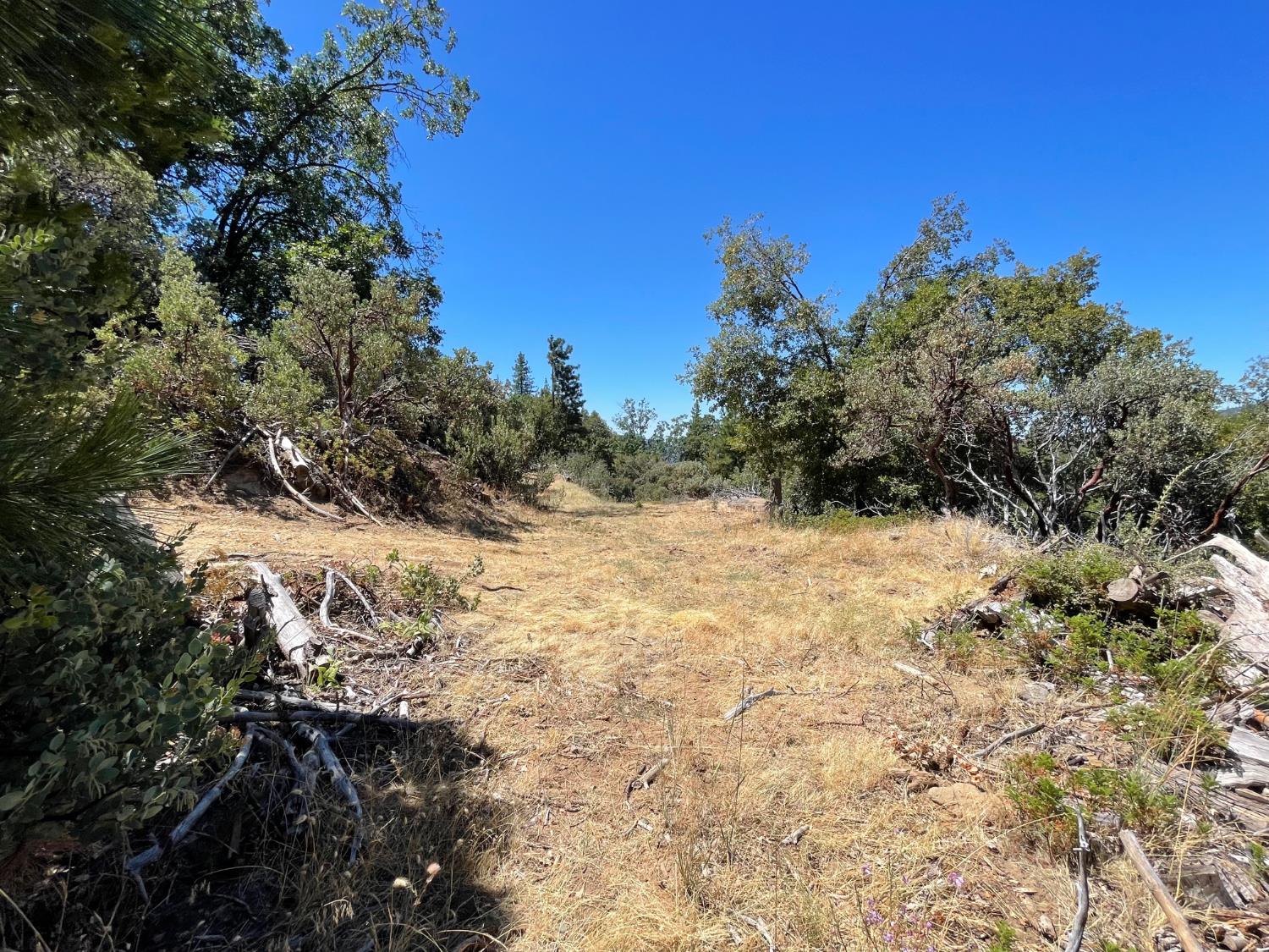 6122 Chowchilla Mountain Rd, Mariposa, CA 95338
