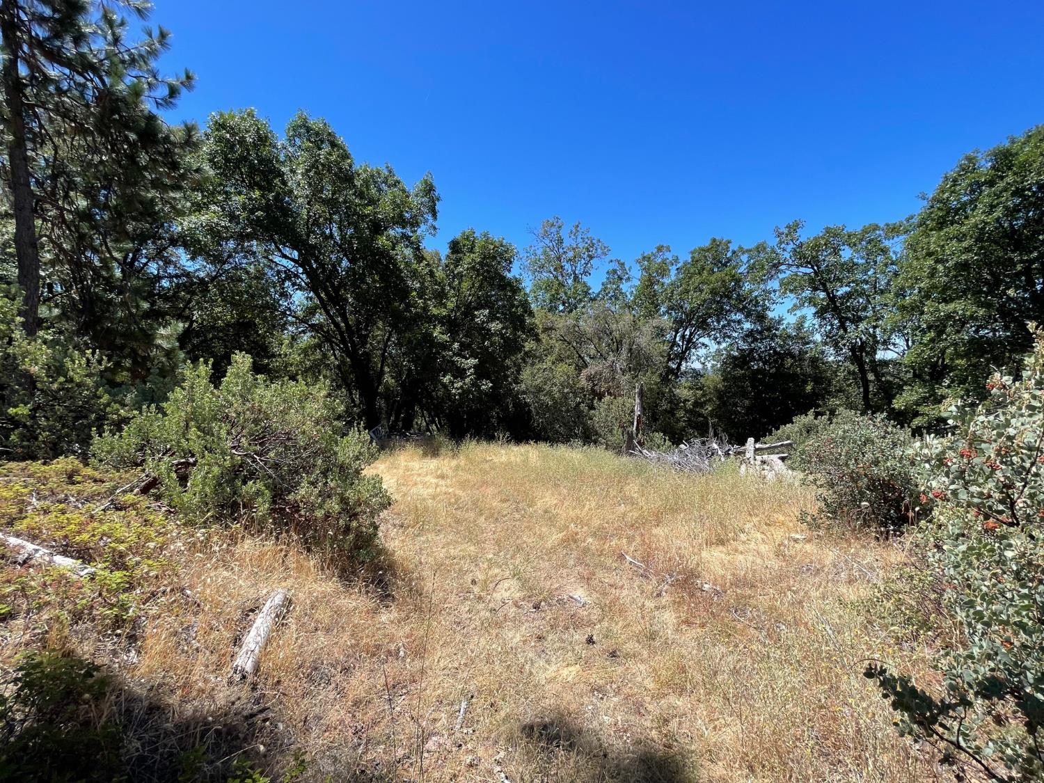 6122 Chowchilla Mountain Rd, Mariposa, CA 95338