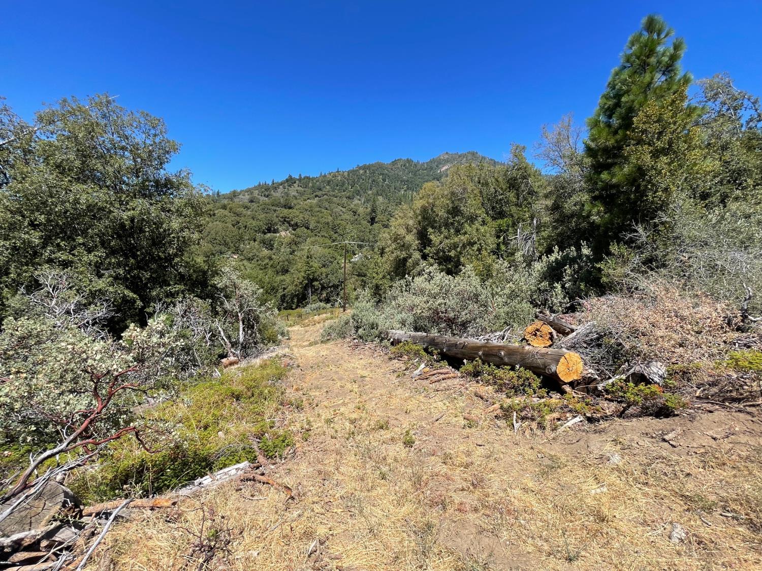 6122 Chowchilla Mountain Rd, Mariposa, CA 95338