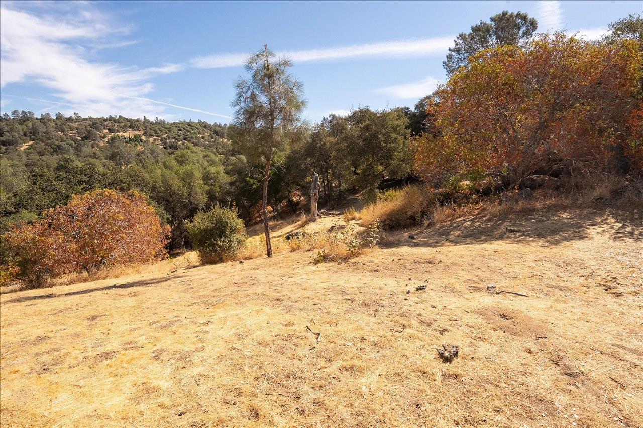 3279 Quail Run Rd, Mariposa, CA 95338