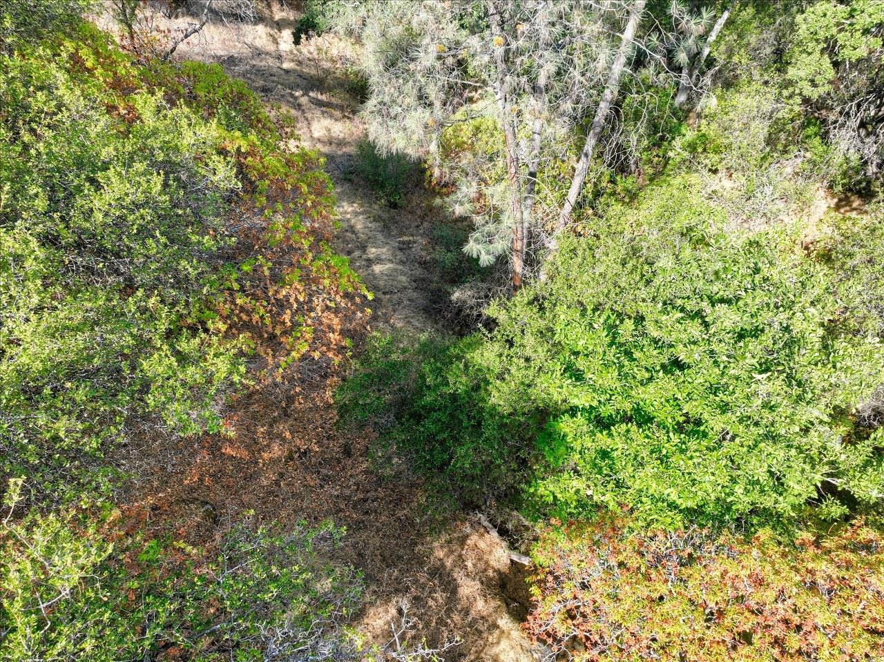 3279 Quail Run Rd, Mariposa, CA 95338