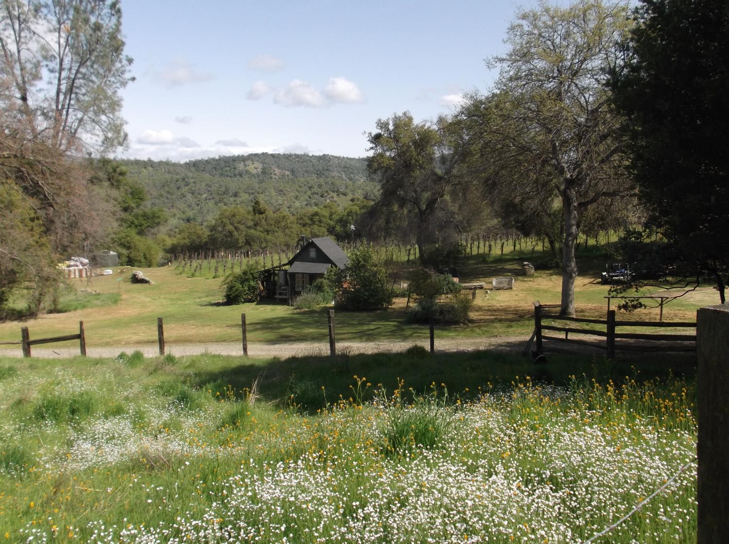 49610 House Ranch Rd, O neals, CA 93645