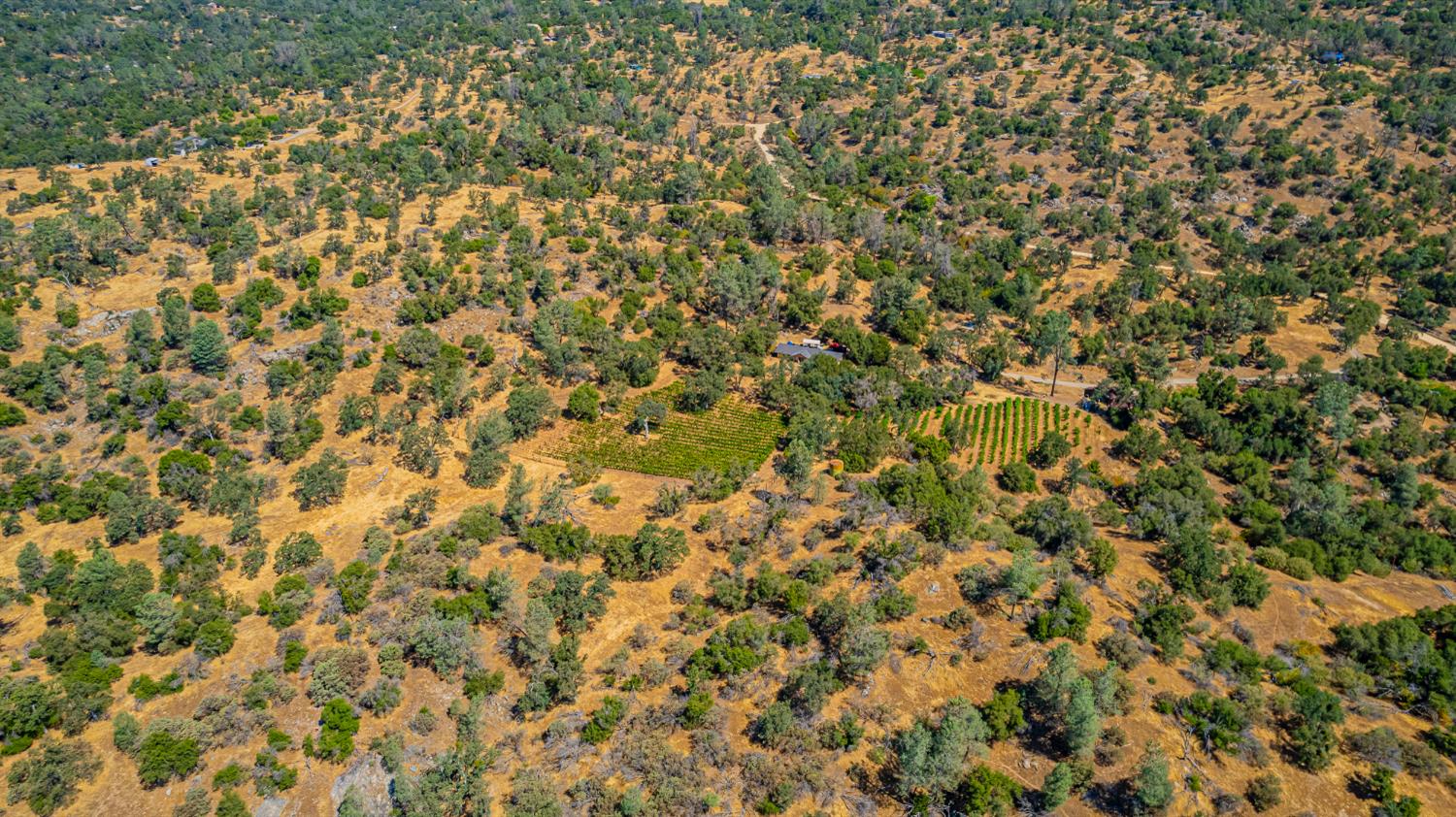 49610 House Ranch Rd, O neals, CA 93645