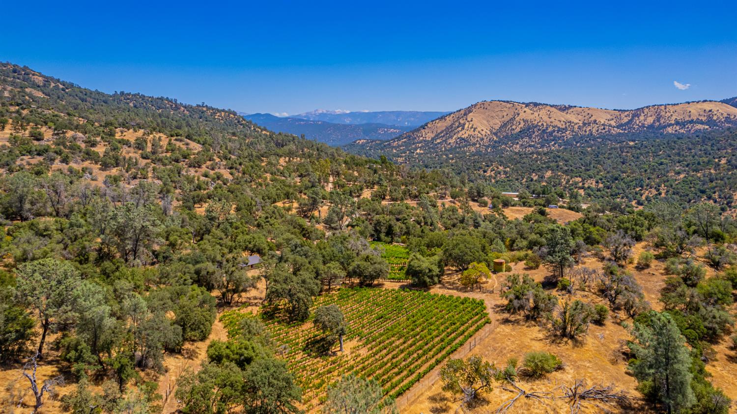 49610 House Ranch Rd, O neals, CA 93645