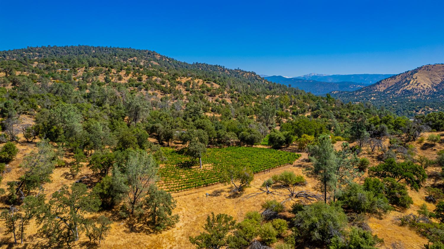 49610 House Ranch Rd, O neals, CA 93645