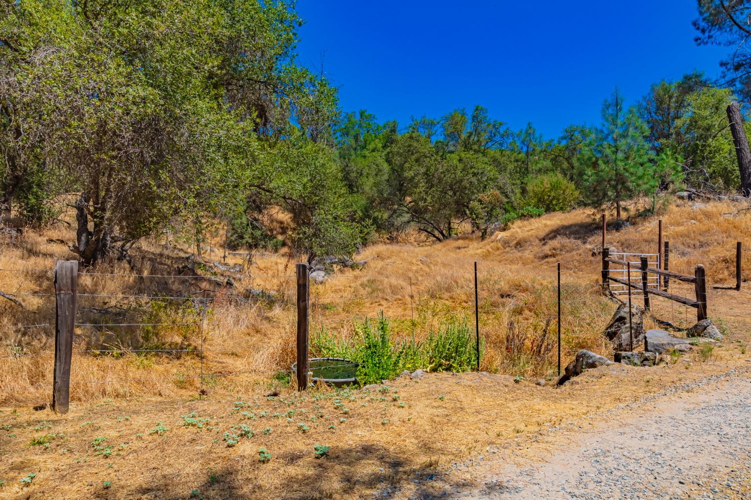 49610 House Ranch Rd, O neals, CA 93645
