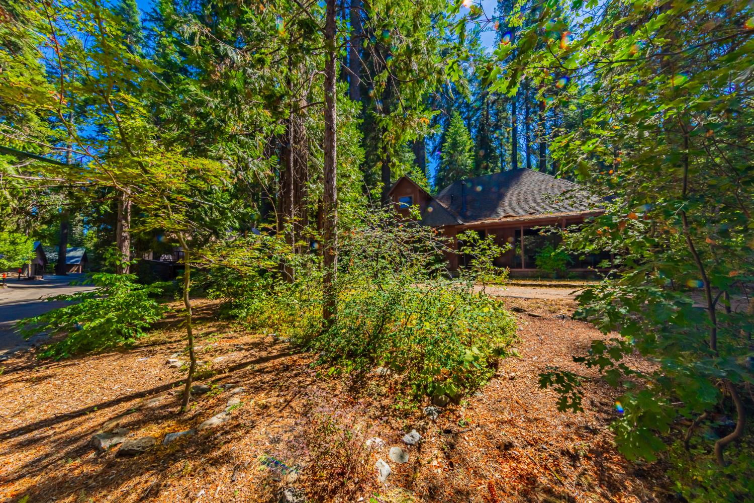 1173 Railroad Ave, Fish Camp, CA 93623