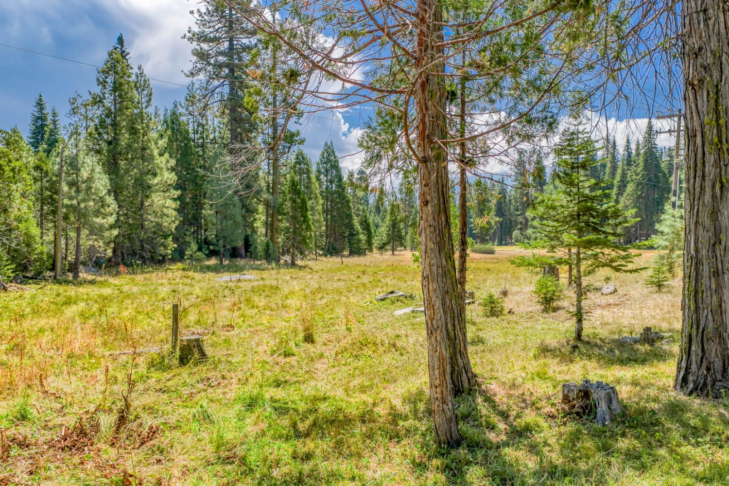 41621 Dinkey Creek Rd, Shaver Lake, CA 93664
