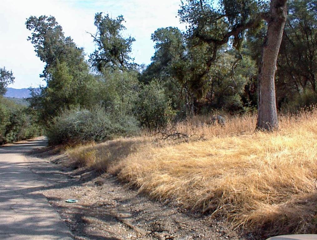 562 Daffodil Ln, Yokuts Valley, CA 93675