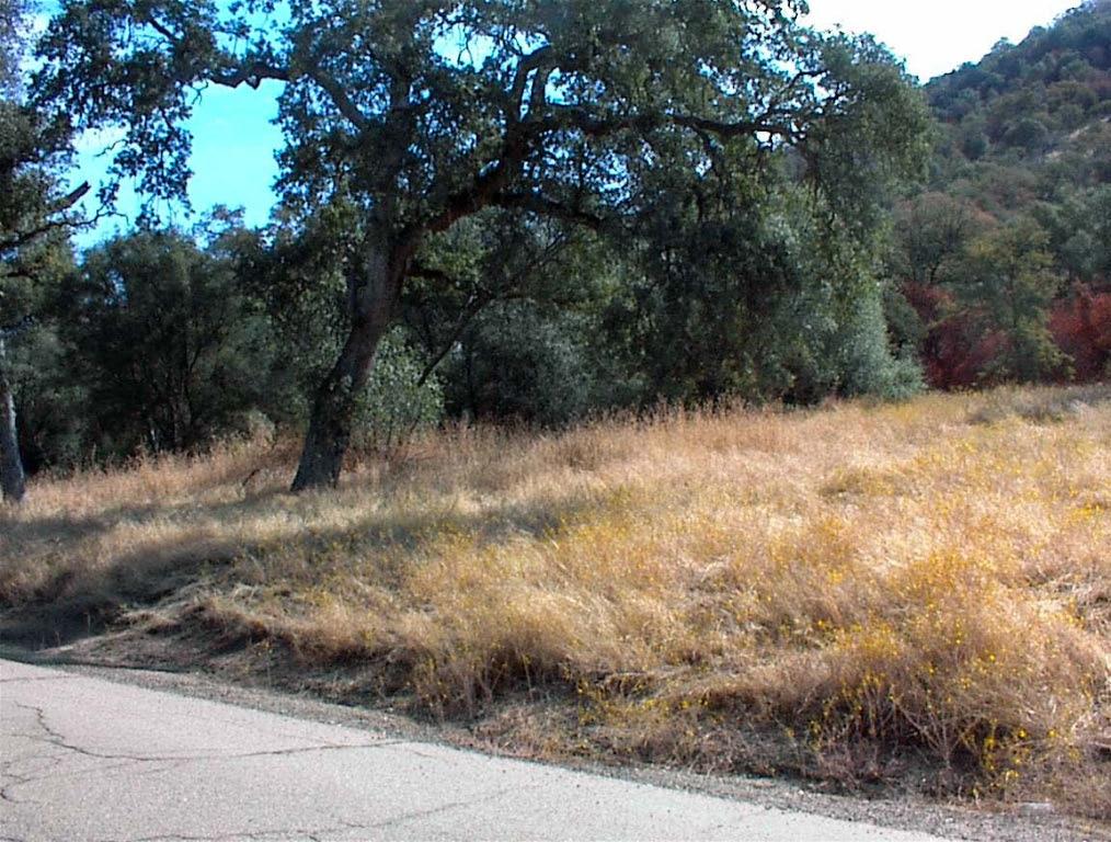 562 Daffodil Ln, Yokuts Valley, CA 93675