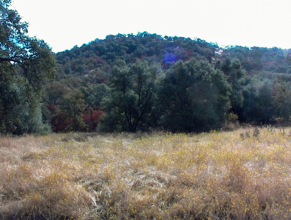 562 Daffodil Ln, Yokuts Valley, CA 93675
