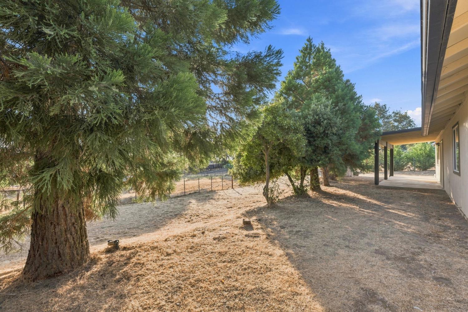 31798 Quartz Mountain Rd, Coarsegold, CA 93614