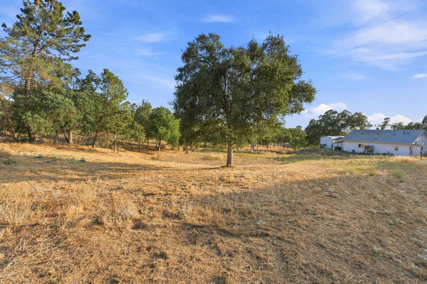 31798 Quartz Mountain Rd, Coarsegold, CA 93614