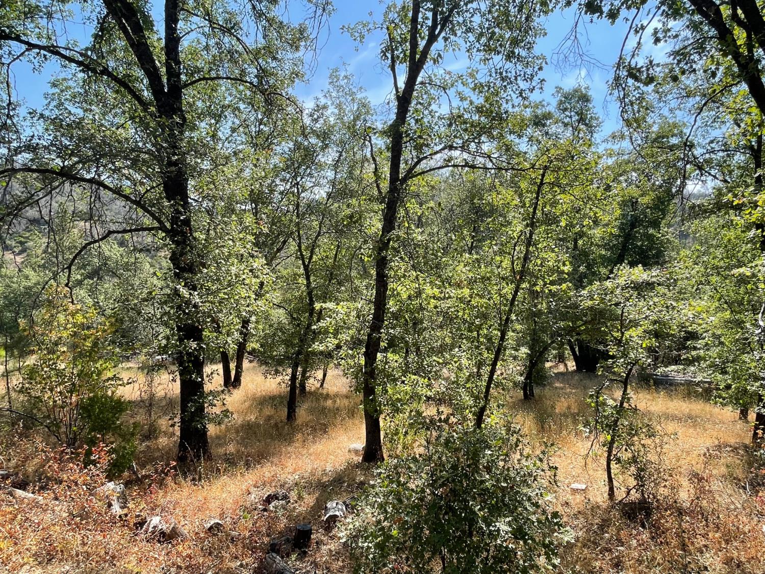 6246 Highway 140, Midpines, CA 95345