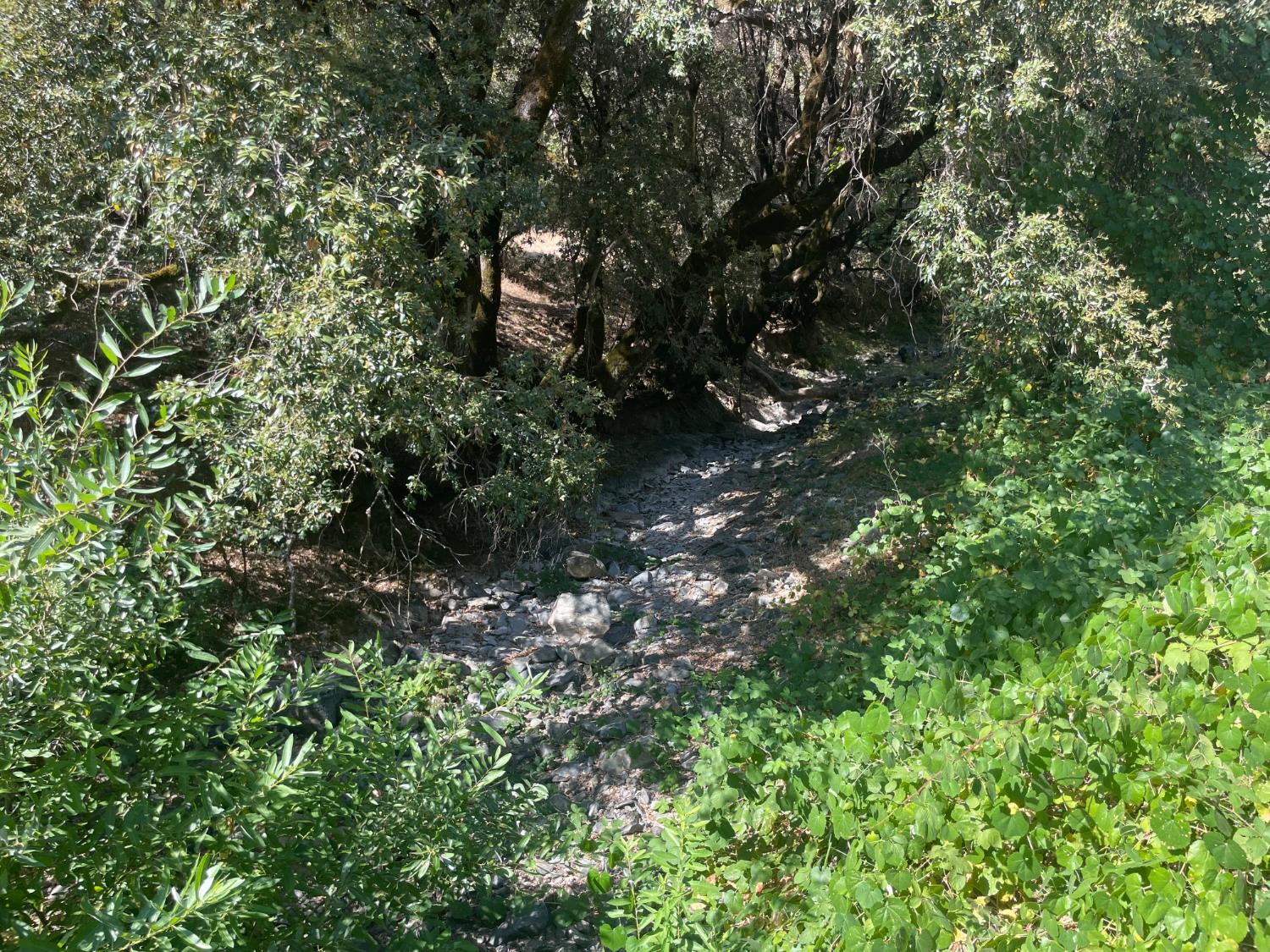 6246 Highway 140, Midpines, CA 95345