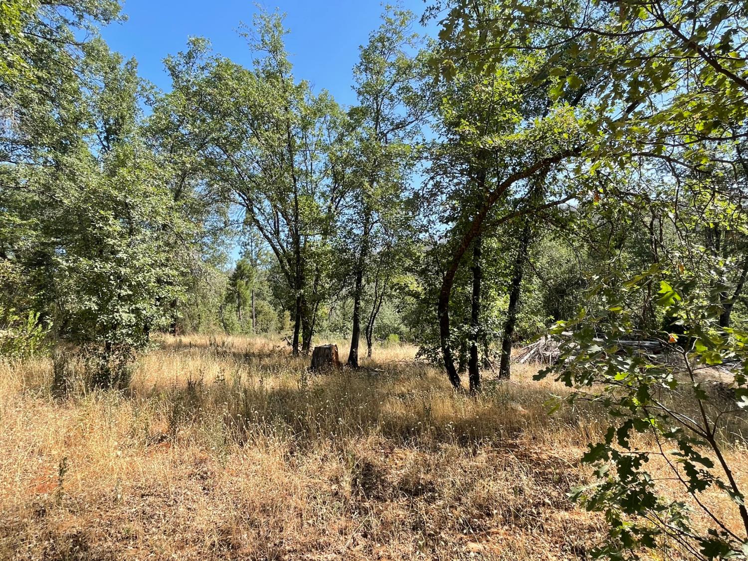 6246 Highway 140, Midpines, CA 95345