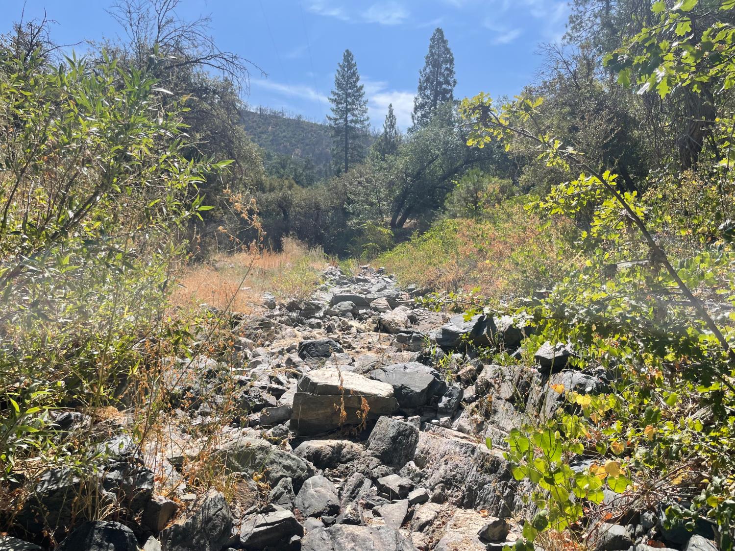 6246 Highway 140, Midpines, CA 95345