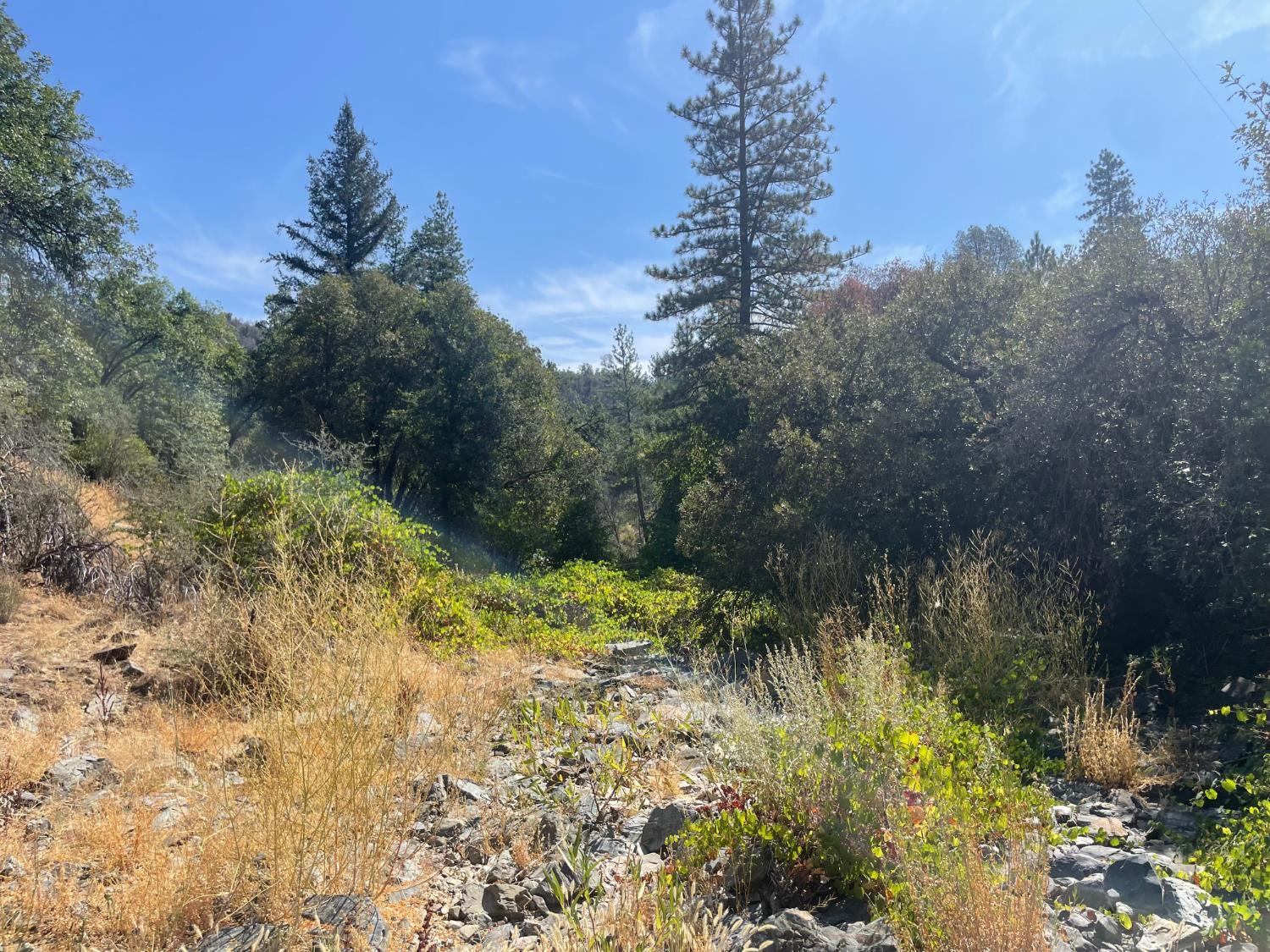 6246 Highway 140, Midpines, CA 95345